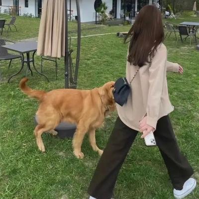逐星女第一季